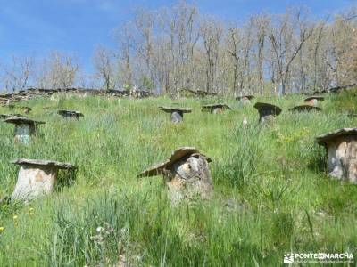 La Hiruela de Arroyos a Collados y Tierras Guadalajareñas;la mesa de los tres reyes pueblos alrededo